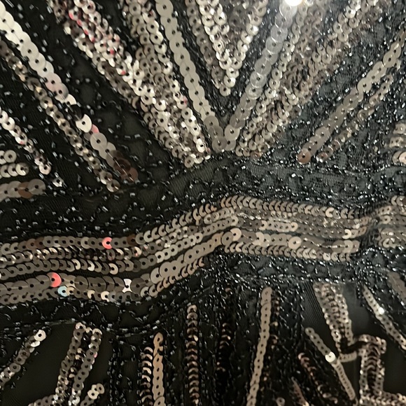 Sparkly Shimmer Dress - Picture 7 of 8